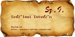 Szélesi István névjegykártya